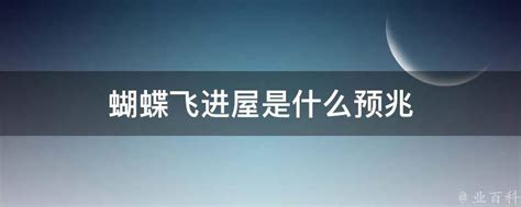 蝴蝶飞进家里万字|家里飞来蝴蝶代表什么意思